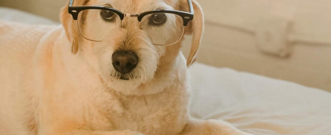 Smart Glasses, 아슬아슬한 기술·산업·디자인의 만남